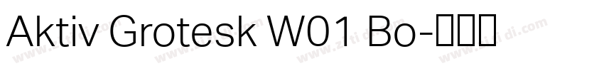 Aktiv Grotesk W01 Bo字体转换